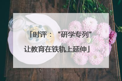 时评：“研学专列”让教育在铁轨上延伸