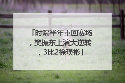 时隔半年重回赛场，樊振东上演大逆转，3比2徐瑛彬