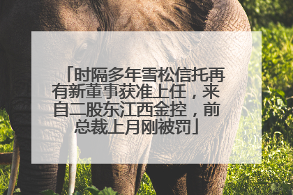 时隔多年雪松信托再有新董事获准上任，来自二股东江西金控，前总裁上月刚被罚