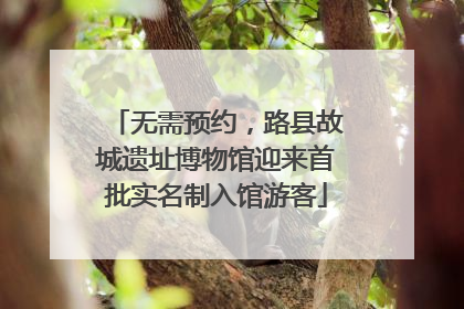 无需预约，路县故城遗址博物馆迎来首批实名制入馆游客