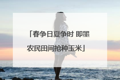 春争日夏争时 即墨农民田间抢种玉米