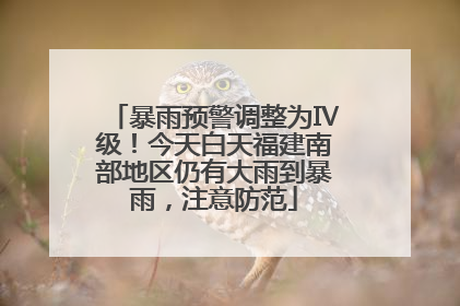 暴雨预警调整为Ⅳ级！今天白天福建南部地区仍有大雨到暴雨，注意防范
