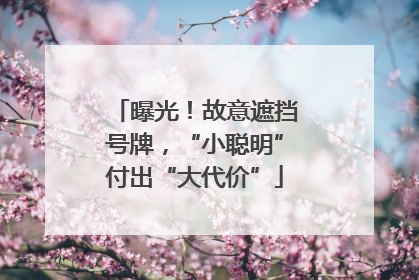 曝光！故意遮挡号牌，“小聪明”付出“大代价”