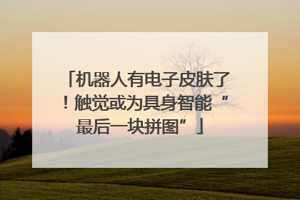 机器人有电子皮肤了！触觉或为具身智能“最后一块拼图”
