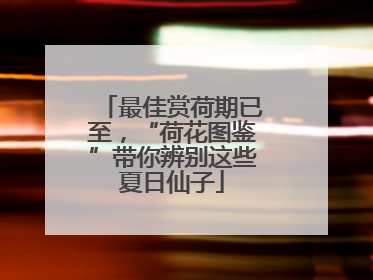最佳赏荷期已至，“荷花图鉴”带你辨别这些夏日仙子