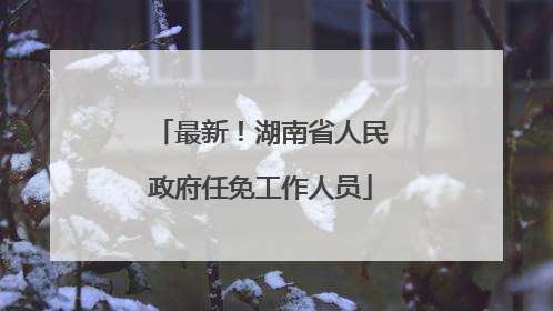 最新！湖南省人民政府任免工作人员