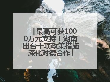 最高可获1000万元支持！湖南出台十项政策措施深化对德合作