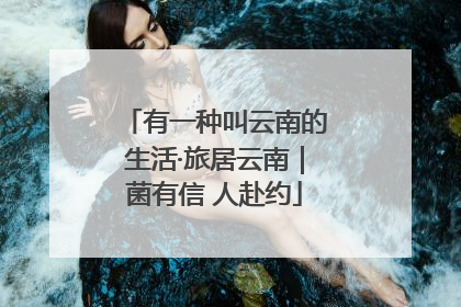 有一种叫云南的生活·旅居云南｜菌有信 人赴约