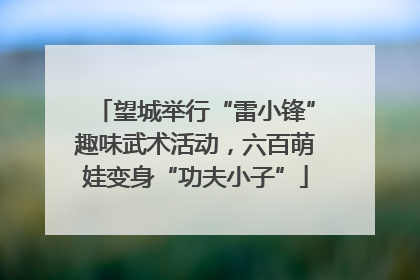 望城举行“雷小锋”趣味武术活动，六百萌娃变身“功夫小子”