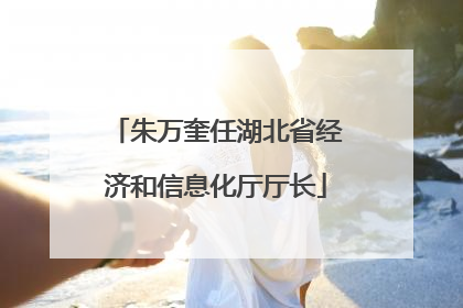 朱万奎任湖北省经济和信息化厅厅长