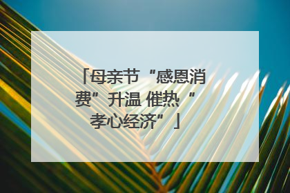母亲节“感恩消费”升温 催热“孝心经济”