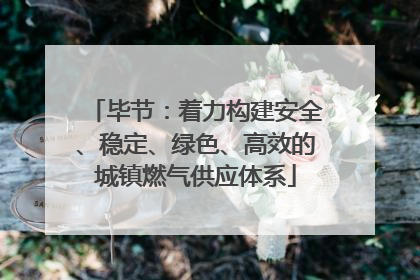 毕节：着力构建安全、稳定、绿色、高效的城镇燃气供应体系