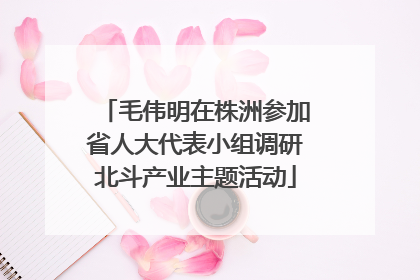 毛伟明在株洲参加省人大代表小组调研北斗产业主题活动