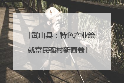 武山县：特色产业绘就富民强村新画卷