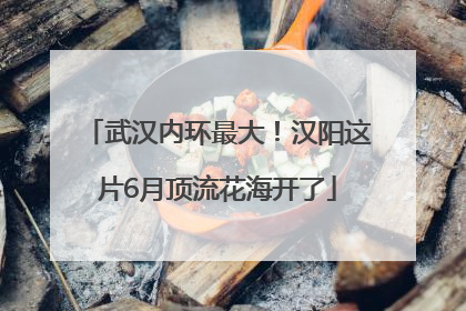 武汉内环最大！汉阳这片6月顶流花海开了