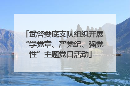 武警娄底支队组织开展“学党章、严党纪、强党性”主题党日活动