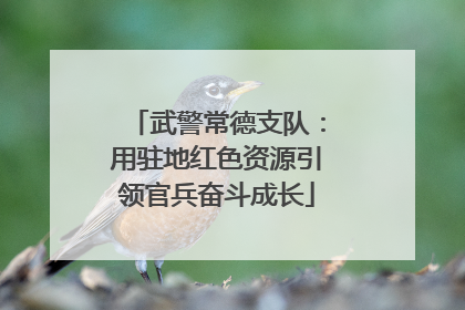武警常德支队：用驻地红色资源引领官兵奋斗成长