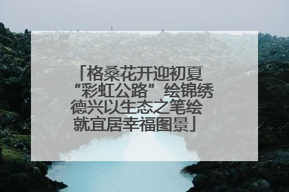 格桑花开迎初夏 “彩虹公路”绘锦绣 德兴以生态之笔绘就宜居幸福图景