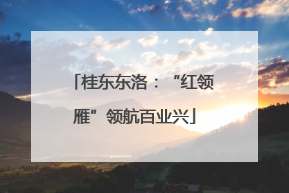 桂东东洛：“红领雁”领航百业兴