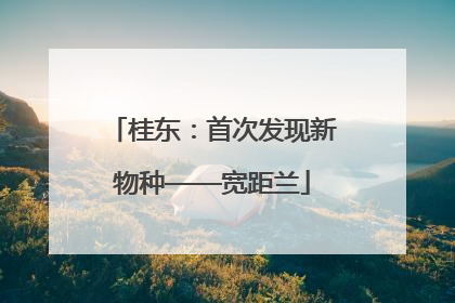 桂东：首次发现新物种——宽距兰
