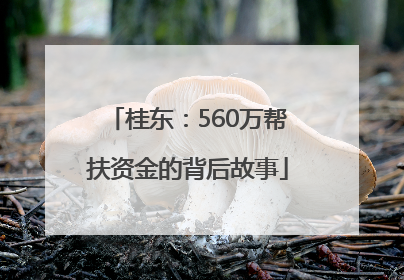 桂东：560万帮扶资金的背后故事