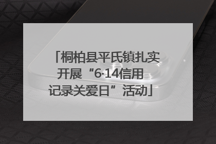 桐柏县平氏镇扎实开展“6·14信用记录关爱日”活动