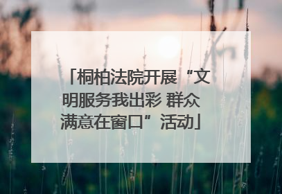 桐柏法院开展“文明服务我出彩 群众满意在窗口”活动
