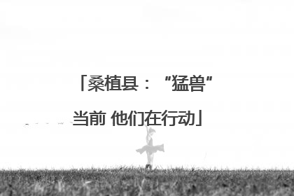 桑植县：“猛兽”当前 他们在行动