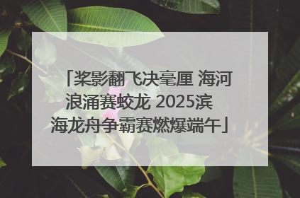 桨影翻飞决毫厘 海河浪涌赛蛟龙 2025滨海龙舟争霸赛燃爆端午