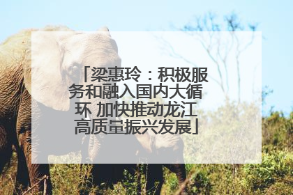 梁惠玲：积极服务和融入国内大循环 加快推动龙江高质量振兴发展