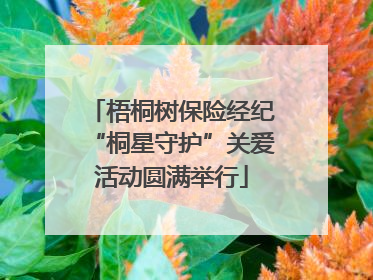 梧桐树保险经纪“桐星守护”关爱活动圆满举行