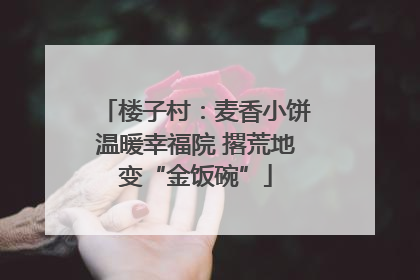 楼子村：麦香小饼温暖幸福院 撂荒地变“金饭碗”
