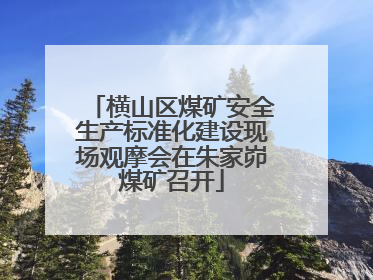 横山区煤矿安全生产标准化建设现场观摩会在朱家峁煤矿召开