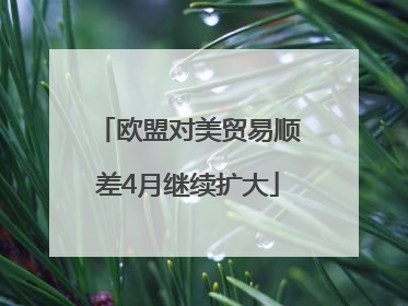 欧盟对美贸易顺差4月继续扩大