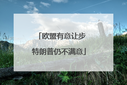 欧盟有意让步 特朗普仍不满意