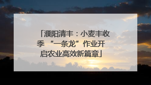 濮阳清丰：小麦丰收季 “一条龙”作业开启农业高效新篇章