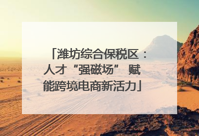 潍坊综合保税区：人才“强磁场” 赋能跨境电商新活力