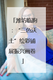 潍坊临朐：“三色沃土”绘彩铺展振兴画卷