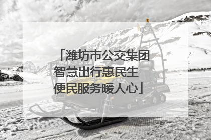 潍坊市公交集团智慧出行惠民生 便民服务暖人心