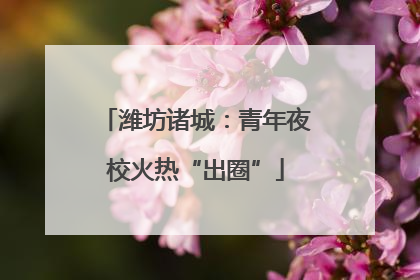 潍坊诸城：青年夜校火热“出圈”