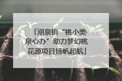 潮泉镇“桃小美·泉心办”助力梦幻桃花源项目扬帆起航