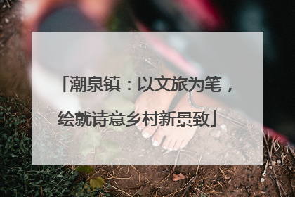 潮泉镇：以文旅为笔，绘就诗意乡村新景致