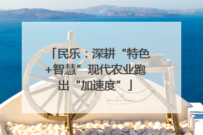 民乐：深耕“特色+智慧”现代农业跑出“加速度”