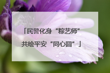 民警化身“粽艺师” 共绘平安“同心圆”