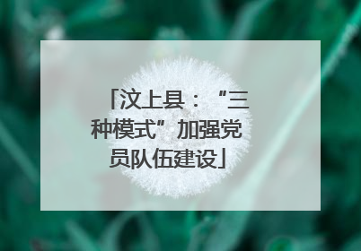 汶上县：“三种模式”加强党员队伍建设