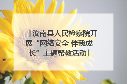 汝南县人民检察院开展“网络安全 伴我成长”主题帮教活动