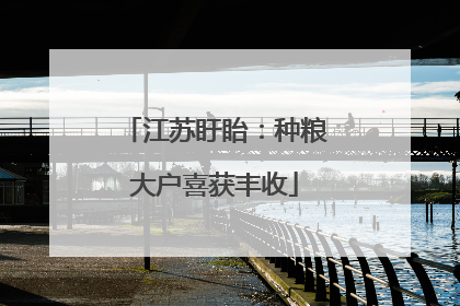 江苏盱眙：种粮大户喜获丰收