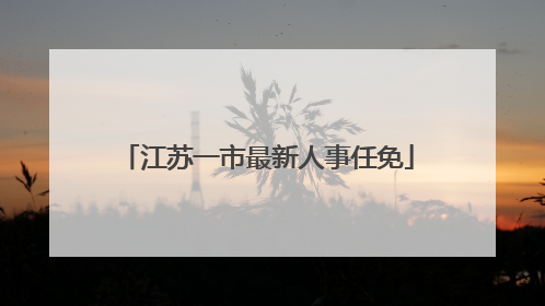 江苏一市最新人事任免