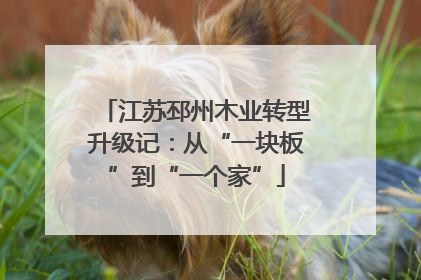 江苏邳州木业转型升级记：从“一块板”到“一个家”