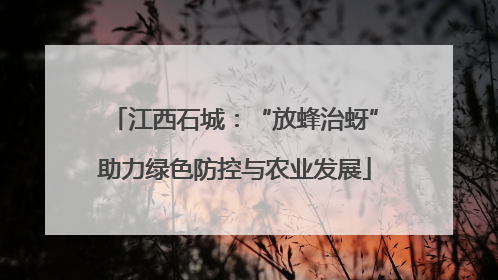 江西石城：“放蜂治蚜”助力绿色防控与农业发展